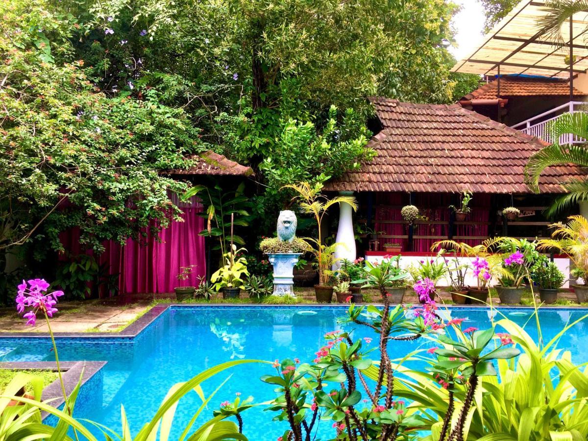 Marari Dreamz Homestay Марарикулам Экстерьер фото